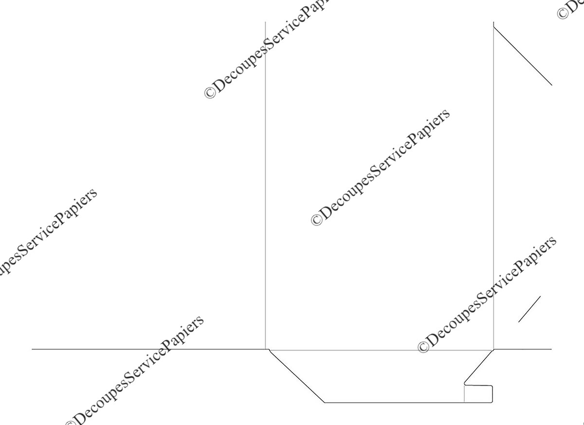 CHEMISE F 215 X 315 O 480 X 356.jpeg